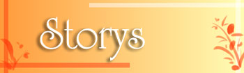 storys storys
